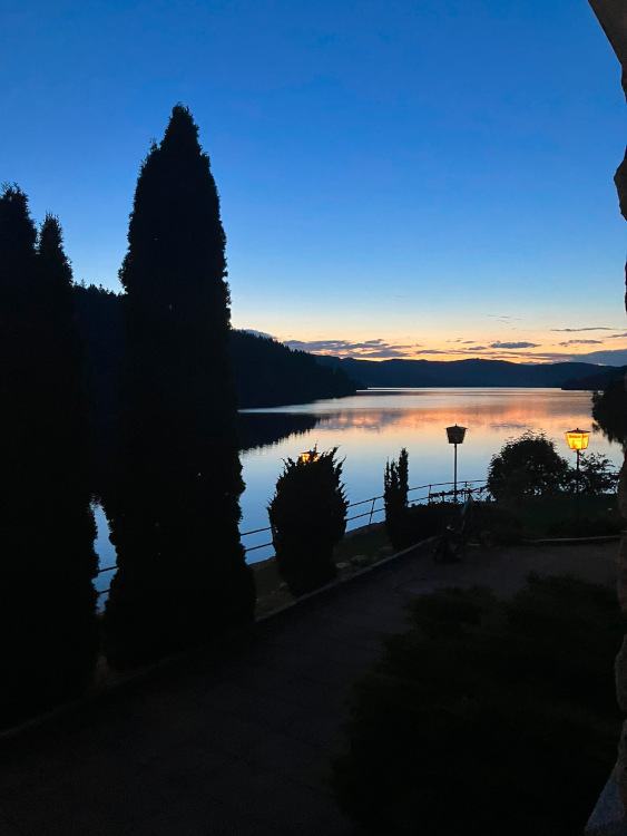 Image 06